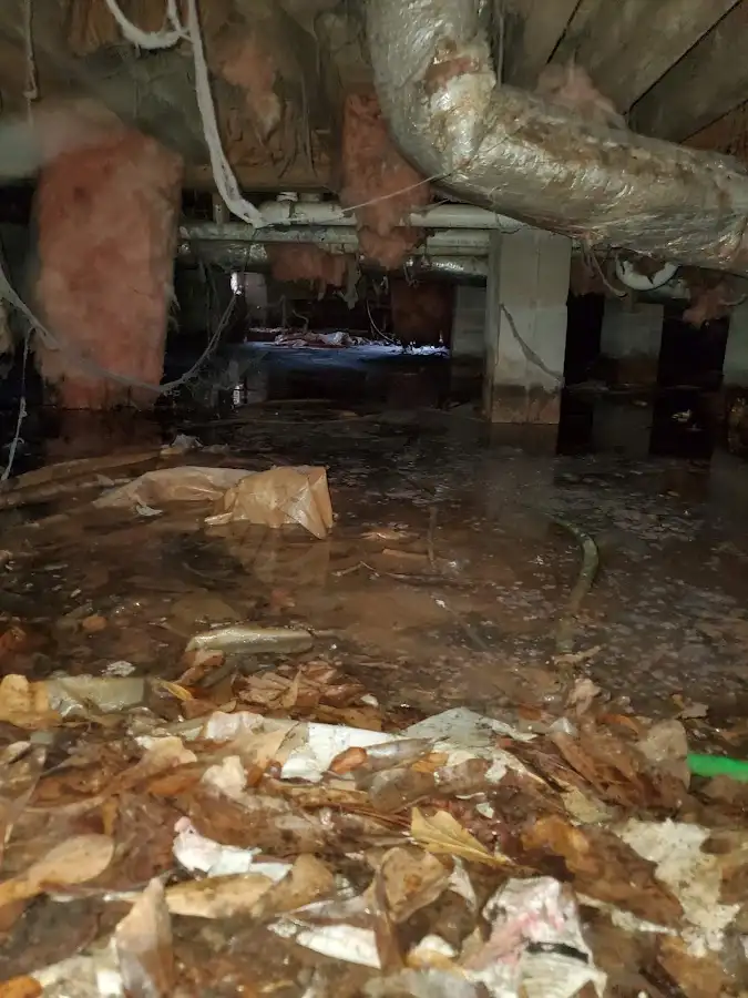 Crawl space flood assessment for Leak Detection & Repair in Bedminster